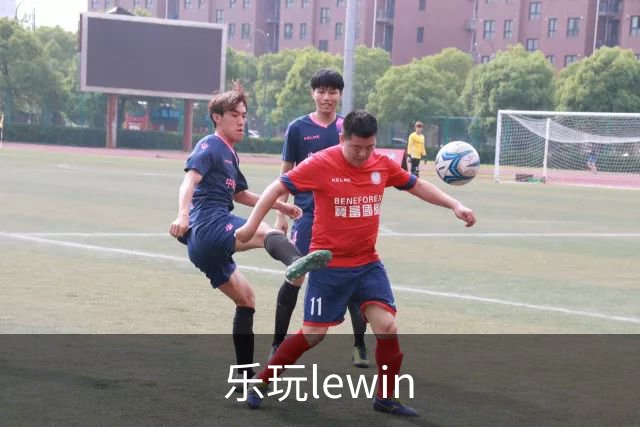 乐玩lewin公司简介